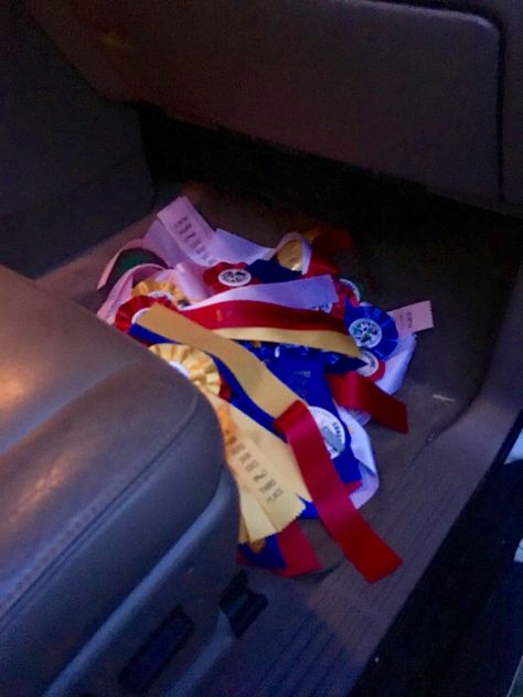 My picture. Best thing to do with your horse show ribbons on a late show night...... Show Ribbon Display, Horse Show Ribbons, Horse Ribbons, Ribbon Display, Blue Horse, Horse Show, Horse Trailer, Show Horses, Great Ideas