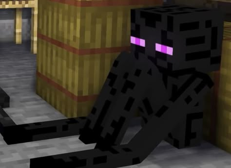 Monster School Minecraft, Minecraft Enderman, Minecraft Images, Minecraft Fanart, Minecraft Drawings, Monster School, Minecraft Mobs, Cute Minecraft, Minecraft Things