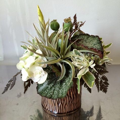 Masculine Floral Arrangement of Tillandsia, white begonia, poppy pods, Snow on the Mountain and Rex Begonia leaves. By Fiori Floral Design, Seattle White Green Brown Flower Arrangement, Green And White Tropical Floral Arrangements, Drift Wood Flower Arrangements, Large Green Floral Arrangement, Green Orchid Arrangement, Sunflower Floral Arrangements, Rustic Flower Arrangements, Holiday Floral Arrangements, Tall Floral Arrangements