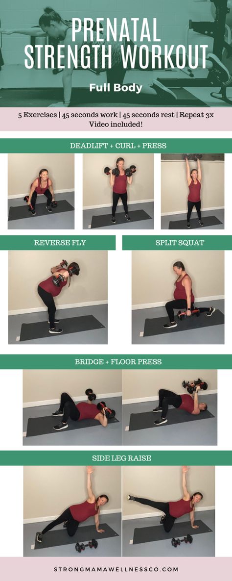 Prenatal Strength Training, Prenatal Dumbell Workout, Prenatal Strength Workout, Pregnancy Strength Training, Pregnancy Weight Lifting Workout, Pregnancy Workout At Home 2nd Trimester, Full Body Pregnancy Workout, Prenatal Workout Plan, Prenatal Exercises