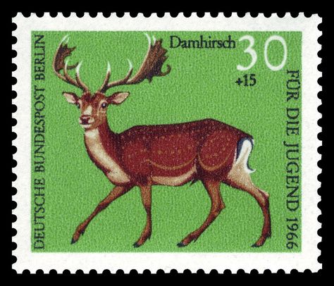 Art - Stamp Art - Animal - German - Damhirsch | by Vintageprintable1 Germany Stamp, Deer Stamp, Animals With Horns, German Stamps, Fallow Deer, Commemorative Stamps, Deer Art, Vintage Postage Stamps, Vintage Printable