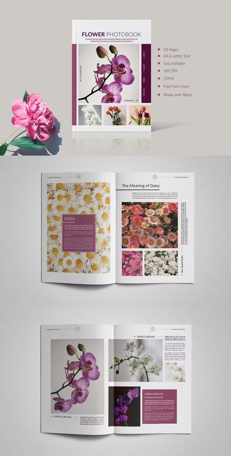 Flower Poster Design Graphics, Flower Catalog Design, A4 Template Design, Indesign Ideas, Brochure Cover Page, Magazine Flowers, Photobook Template, Letter Portrait, Portfolio Magazine