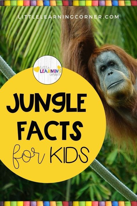 50 Best jungle facts for kids Jungle Preschool, Jungle Animals Preschool, Jungle Theme Activities, Zoo Activities Preschool, Dinosaur Facts For Kids, Preschool Jungle, Jungle Activities, Animal Facts For Kids, Jungle Crafts