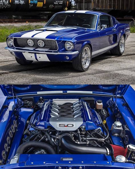 1967 Ford Mustang Fastback Restomod  Photo @exoticcartrader Via @mustangsfamily ... #Classic #classics #Classiccar #classiccars… 1967 Fastback Mustang, 67 Mustang Fastback, 1967 Ford Mustang Fastback, 67 Ford Mustang, Mustang 1967, Muscle Cars Mustang, Tokyo Drift Cars, 1967 Ford Mustang, 1967 Mustang