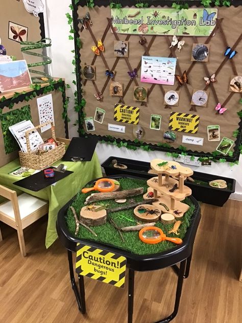 Bugs Hotel Ideas, Insect Inquiry Kindergarten, Mini Beasts Activities, Minibeast Classroom Display, Outdoor Provocations, Minibeast Display, Minibeasts Eyfs, Minibeasts Activities, Sensory Classroom