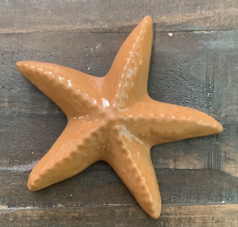 Sea Animal Clay Sculpture, Starfish Ceramics, Ceramic Sea Creatures, Stingray Ceramic, Clay Sea Animals, Starfish Pottery, Clay Starfish, Starfish Sculpture, Ceramic Starfish