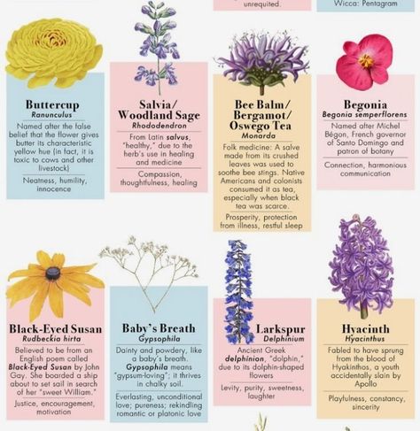 Different Flowers And Their Meanings, Symbolism Flowers, Plant Magic, Plant Journal, Witch Garden, Flower Meanings, Dark Flowers, Nothing But Flowers, Flower Essences