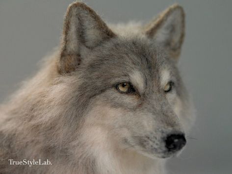 Wool Sculpture, Wolf Photos, Wool Animals, Wool Art, Hyperrealism, Wool Crafts, Needle Felt, Needle Felted Animals, The Wolf