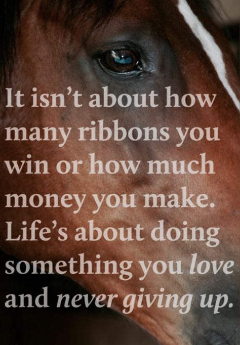 ༻⚜༺ ❤️ ༻⚜༺ It isn't about how many ribbons you win or how much money you make. Life's about doing something you love and never giving up. ༻⚜༺ ❤️ ༻⚜༺ Inspirational Horse Quotes, Horse Riding Quotes, Equestrian Quotes, Cowgirl Quotes, Riding Quotes, Country Girl Quotes, Country Quotes, Motiverende Quotes, Horse Quotes