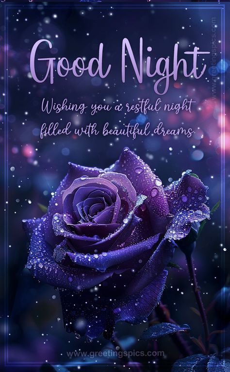 Good Night Wishes Image with beautiful purple rose Beautiful Good Night Images With Quotes, Good Night Babe, Beautiful Good Night Messages, Goodnight Beautiful, Goodnight Images, Good Night Blessings Quotes, Sweet Dreams Images, Good Night Quotes Images, Goodnight Wishes