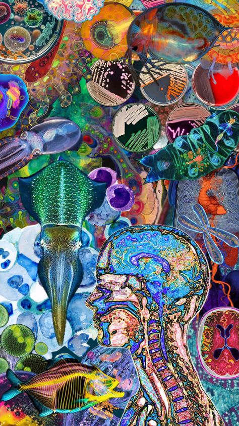 #science #bright #biology #human #brain #cells #maximalism Biology Wallpaper, Brain Cells, Maximalism, Human Brain, Biology, Brain, Science, Collage, Human