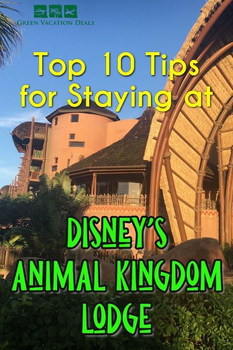 Animal Kingdom Lodge Kidani Village, Disney Animal Kingdom Lodge, Animal Encounters, Disney Resort Hotels, Disney World Hotels, Disney World Tickets, Animal Kingdom Lodge, World Trip, Disney Hotels