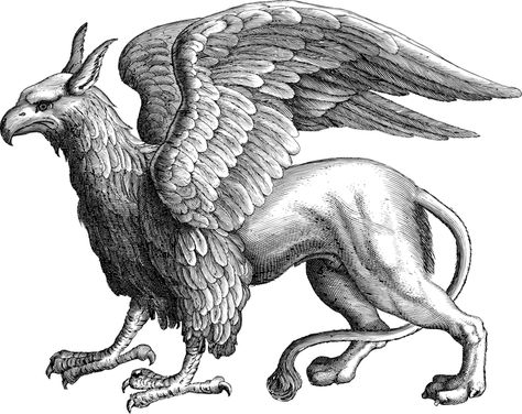 Ancient Persia, Mythical Animal, Mythical Beast, An Eagle, 문신 디자인, Mythical Creatures Art, Creature Art, Art Plastique, Ancient Art