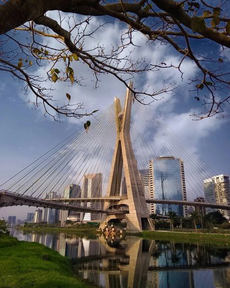 30 fotos de São Paulo especialmente selecionadas para você admirar São Paulo Wallpaper, São Paulo Aesthetic, Brazil Wallpaper, San Paolo, Brazil Travel, Sao Paulo Brazil, City Aesthetic, Travel Inspo, Travel Aesthetic