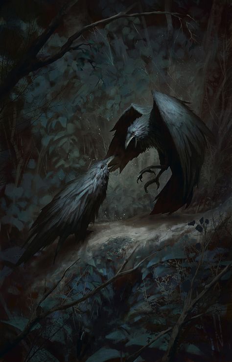 Raven Artwork, House Of Wolves, Black Flame, Crow Art, Raven Art, Fantasy Beasts, Illusion Art, Fantasy Concept Art, Ice Queen