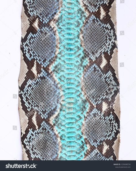 Snake skin texture python on white background #Ad , #ad, #texture#skin#Snake#background Snake Background, Snake Skin Texture, Texture Skin, Python Skin, Skin Texture, Social Media Business, Python, Snake Skin, White Background