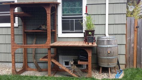 Catios are a good compromise in the indoor-outdoor cat debate Basement Window Catio, Window Catio, Cat Patios, Catio Ideas, Basement Window, Diy Chat, Window Views, Cat Patio, Outdoor Cat Enclosure