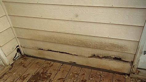 wcv-034-replacing-rotten-hardboard-siding-home How To Replace Rotten Wood On House, How To Fix Siding On A House, Martinez Casita, Granny Kitchen, Diy Siding, Masonite Siding, Outdoor Siding, Cement Board Siding, Exterior Updates