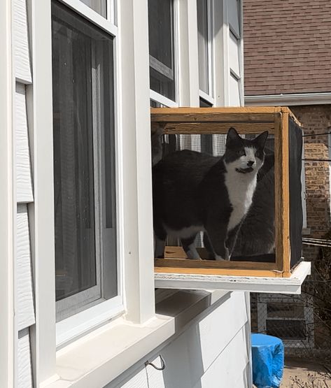 Catio v2.0 – Wood Rather DIY Cat Window Patio Uk, House Design Diy, Cat Art Aesthetic, Cat House Design, Cat House Ideas, Diy Cat House, Catio Plans, Ideas For Cats, Cat Castle