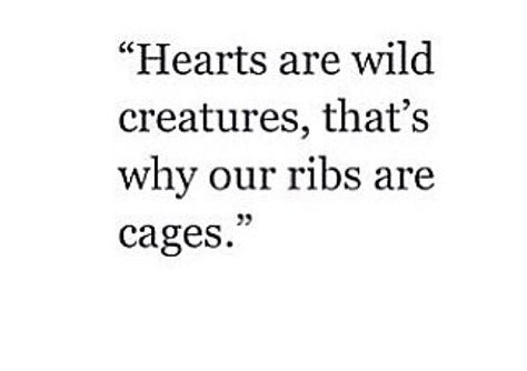 Hearts are wild creatures: that's why our ribs are Cages! Love this! Our Hearts Are Wild Creatures Ribs, Our Hearts Are Monsters Thats Why Our Ribs Are Cages, Hearts Are Wild Creatures Quote, Cage Quotes, Hearts Are Wild Creatures, Eat My, Wild Creatures, Quotes To Live By, Love This