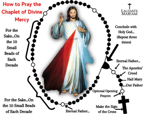 How to Pray the Chaplet of Divine Mercy Divine Mercy Chaplet Prayer, Chaplet Of Divine Mercy, Devine Mercy, Closing Prayer, Divine Mercy Chaplet, Faustina Kowalska, Apostles Creed, Opening Prayer, Gods Mercy