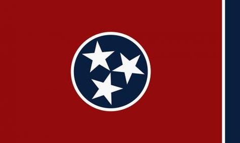 American State Flags, Tennessee State Flag, Us States Flags, Cades Cove Tennessee, Tennessee Flag, State Of Tennessee, Tennessee State, East Tennessee, Public Records