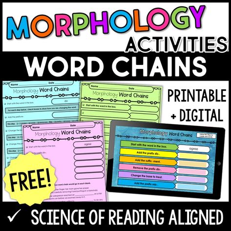 Morphology Activity - Word Chains with Free Resources Morphology Wall, Word Chains, Word Structure, Structured Literacy, Middle School Literacy, 6th Grade Reading, Reading Review, Teaching Vocabulary, Base Words