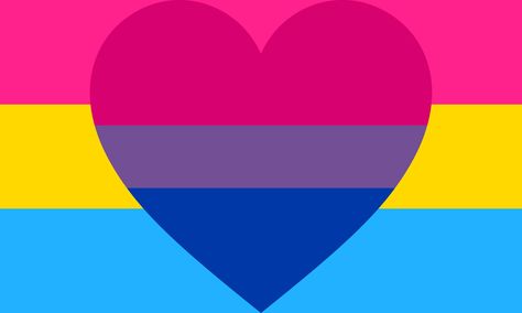 Bi Curious Flag, Pansexual Flag, Bisexual Flag, Lgbtq Funny, Lgbtq Flags, Lesbian Flag, Pride Flags, Cute Doodles, Date Night