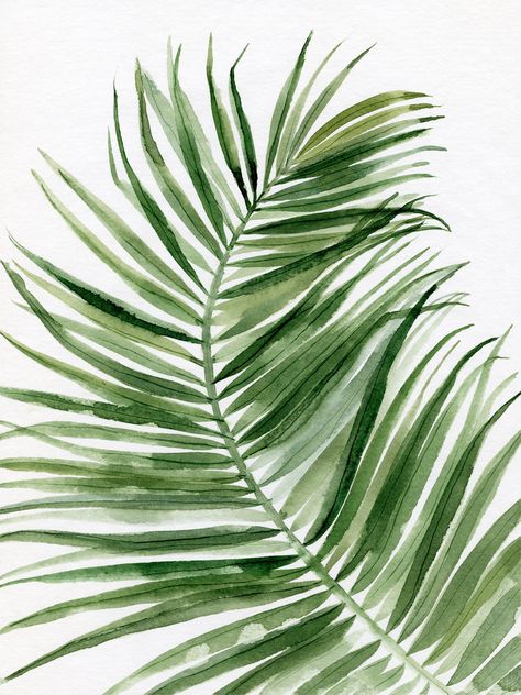 Wine Brochures, Design Batik, Palm Leaf Art, Printable Painting, Leaves Wall Art, Palm Tree Art, Palm Tree Leaves, Wall Art Botanical, Art Watercolour