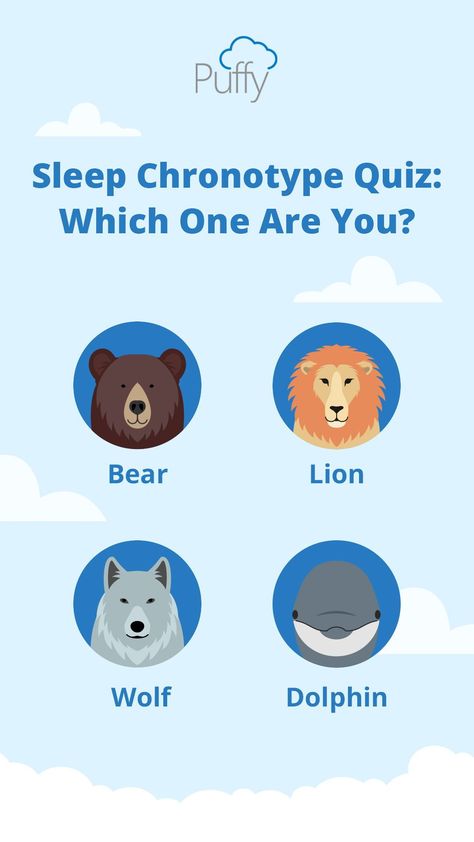 Bear Chronotype Schedule, Wolf Chronotype Schedule, Chronotype Wolf, Lion Chronotype, Dolphin Chronotype, Bear Chronotype, Chronotype Quiz, Wolf Chronotype, Sleep Chronotype