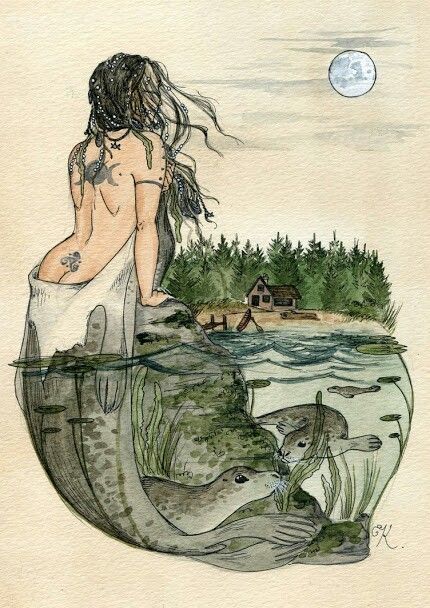 Selkie Mermaids And Mermen, Mermaid Life, Mermaid Art, A Mermaid, Magical Creatures, A Rock, A Drawing, Grimm, Mythical Creatures