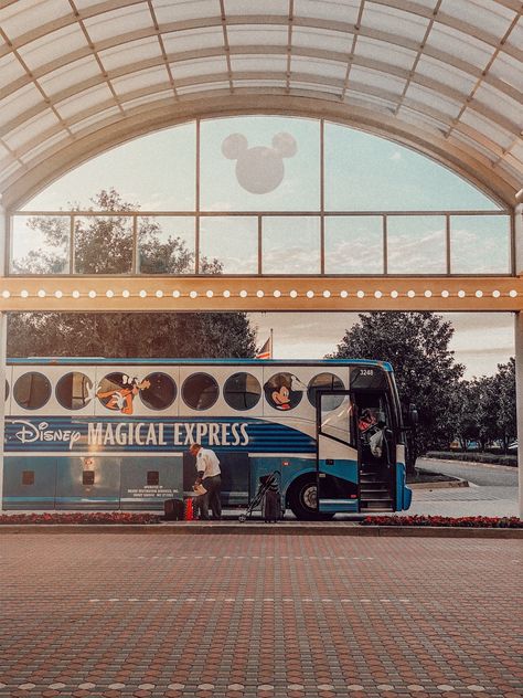 Disney Lifestyle, Disney College, Disney World Pictures, Cute Disney Pictures, Disney World Florida, Disneyland Trip, Disney California, Disney Aesthetic, Disney World Trip