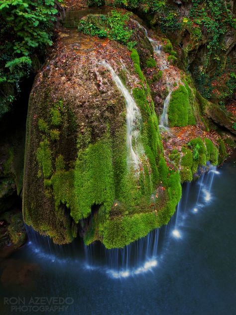 River Surfing, Romania Photography, Water Spring, Visit Romania, Cascade Falls, Romania Travel, Europe On A Budget, Moss Terrarium, Final Destination