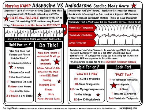 Adenosine and Amiodarone both work on the HR and for Rhythms that are fast! First Adenosine- Adenosine is on the Scene to STO"PSVT" If they do not work Adenosine  Cardiac Acute Medications Adenosine Atropine Amiodarone (amislowderone) and the acute process from The Acute Book by Nursing Kamp the Nurses Notes on NCLEX nursing_labs_mnemonics_Cardiac_Adenosine_Amiodaron_Atropine_Nurse_Kamp Cath Lab Nursing, Nurses Notes, Medications Nursing, Nursing Labs, Study Sheets, Paramedic School, Nurse Training, Nursing Mnemonics, Cardiac Nursing