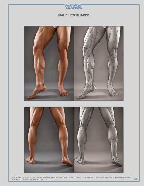 ANATOMY FOR SCULPTORS Anatomy For Sculptors, Leg Anatomy, Human Anatomy Reference, Male Figure Drawing, Drawing Legs, Man Anatomy, Anatomy Sculpture, Human Body Anatomy, Anatomy Tutorial