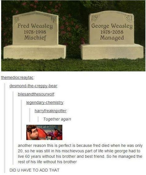 Fred And George, Harry Potter Memes Hilarious, Harry Potter Feels, Harry Potter Puns, Fred And George Weasley, Harry Potter Tumblr, Fred Weasley, Harry Potter Headcannons, Harry Potter Fanfiction