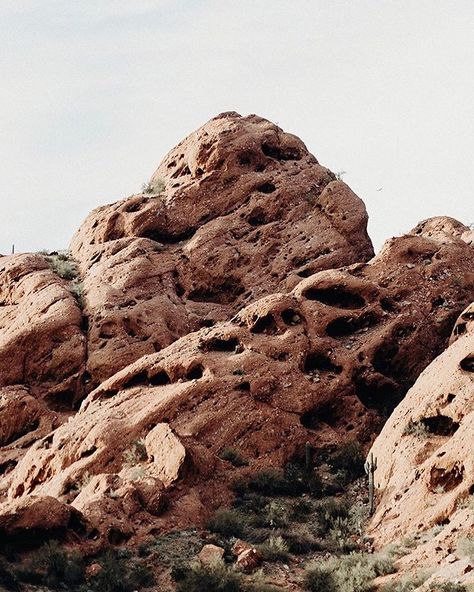 Papago Park, 📸 @nolongerwander. #phxgeneral Bag Campaign, Papago Park, Mood Board, Honey, Photography, Instagram