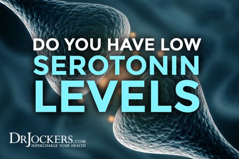 Do You Have Low Serotonin Levels? - DrJockers.com Low Serotonin, Dr Jockers, Calm Magnesium, Healing Naturally, Healthy Healing, Increase Serotonin, Positive Mood, Mental Health And Wellbeing, Health Nut