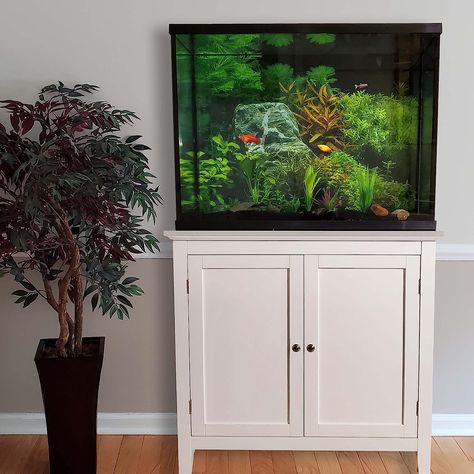 Finomenal Aquarium Stand with solid wood frame and no flimsy particle board. Ideal for your long 20 gallon aquariums or 29 gallon aquarium stand. Fits up to... Size:20/37 Full Height Doors Color:White 20 Gallon Aquarium Stand, 29 Gallon Aquarium, 20 Gallon Aquarium, Terrarium Stand, Aquarium Stands, Aquarium Stand, Tank Stand, Aquarium Tank, Aquatic Plants