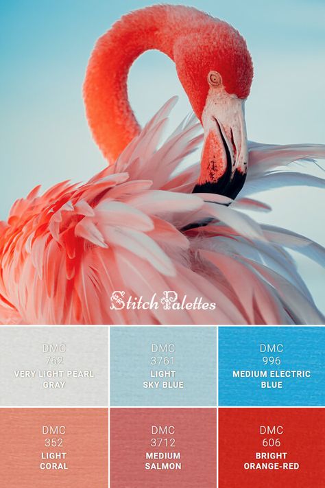 Blue Salmon Color Palette, Flamingo Colour Palette, Coral Red Color Palette, Flamingo Color Palette, Mosaic Branding, Law Presentation, Sky Blue Color Palette, Stitch Palettes, Peach Color Palettes