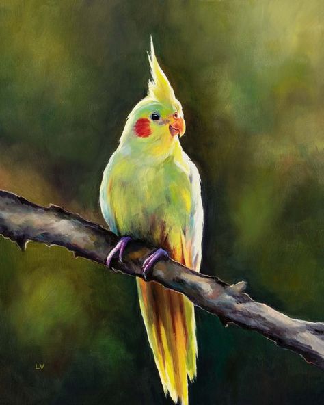 Cockatiel Painting, Yellow Cockatiel, Jungle Wildlife, Colorful Beach House, Bird Pet, Jungle Birds, Bird Paintings, Tropical Bird, Commissioned Artwork