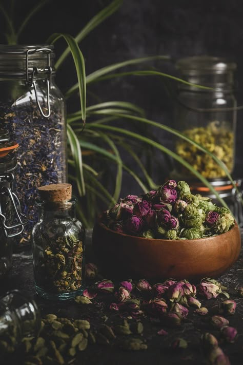 Herb Collection Aesthetic, Herb Aesthetic, Dried Herbs Aesthetic, Herb Bottles Aesthetic, Herbs And Potions Aesthetic, Herbal Apothecary Aesthetic, Herbs Aesthetic, Herbs And Spices Photography, Herb Photography