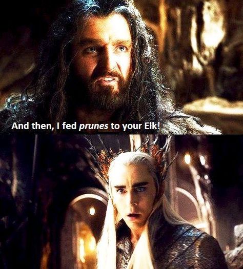 Thranduil Funny, Hobbit Funny, Elf Funny, Lotr Funny, The Hobbit Movies, Elf Movie, Thorin Oakenshield, The Shire, Thranduil