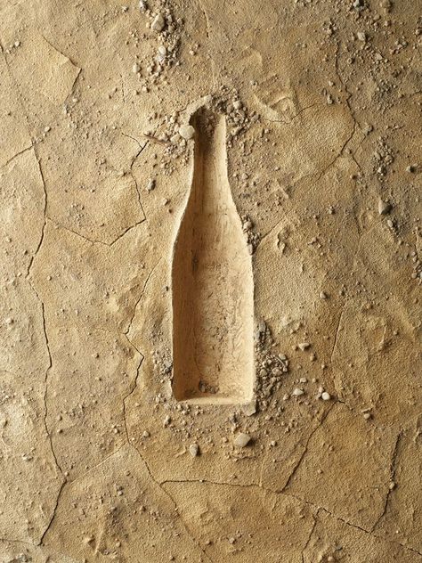 Wine Still Life Photography, Art Du Vin, Wine Advertising, Wine Logo, Autumn Wine, Fresh Brand, Wine Photography, Architecture Model House, Paper Background Texture