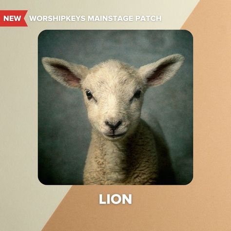 Download the MainStage patches for LION by Elevation Worship / Chris Brown / Brandon Lake, from the album LION. Christian Sheet Music, Brandon Lake, Elevation Worship, Praise And Worship Songs, Lead Sheet, Worship Songs, Praise And Worship, Chris Brown, New Music