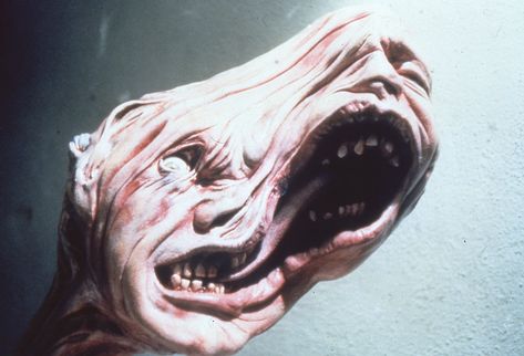 "The Thing" movie still, 1982.  Of the film's $15 million budget, $1.5 million was spent on Rob Bottin's creature effects, a mixture of chemicals, food products, rubber, and mechanical parts turned by his large team into an alien capable of taking on any form. The Thing 1982, John Carpenter, Scary Art, Movie Monsters, Creepy Art, Great Movies, Creature Design, The Thing, Horror Films