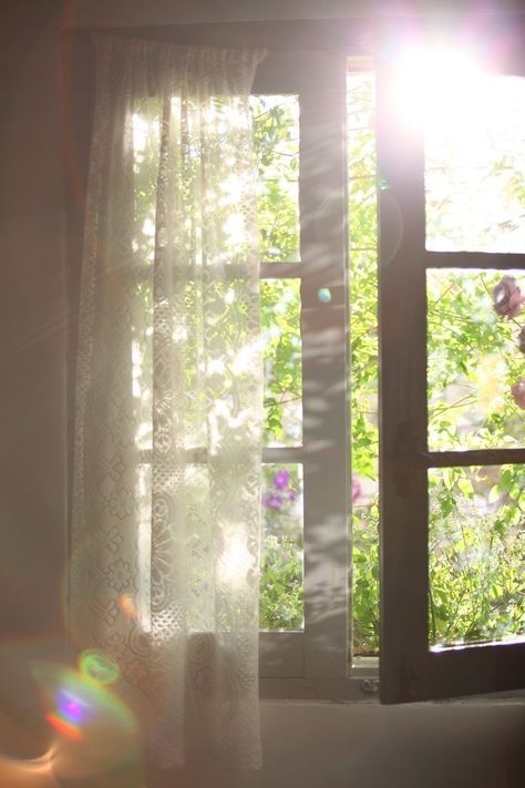 White Fence, Morning Walks, Bright Wallpaper, Childhood Home, Morning Person, Bedroom Windows, Window View, Spring Aesthetic, Open Window