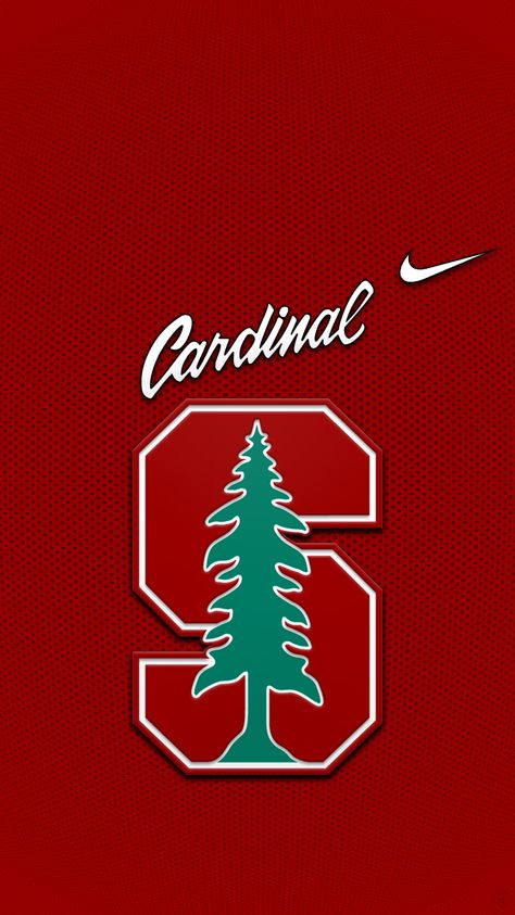 Stanford Cardinal Wallpapers - Top Free Stanford Cardinal Backgrounds - WallpaperAccess Stanford Motivation, Stanford University Wallpaper, Stanford Wallpaper, Cardinals Wallpaper, Dream University, Time Wallpaper, Manifest Destiny, College Board, Dream College