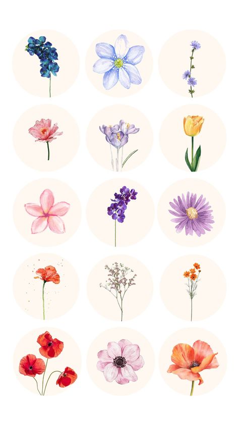 50 Instagram Flower Bouquet Highlight Covers | Botanical Highlight Covers, Boho Instagram Highlight Flowers Highlight Instagram, Flower Feed Instagram, Instagram Highlight Icons Flower, Pinterest Highlight Covers, Flower Highlight Covers, Instagram Highlight Covers Flowers, Flower Instagram Highlight Covers, Beauty Highlight Cover, Cute Highlight Covers For Instagram