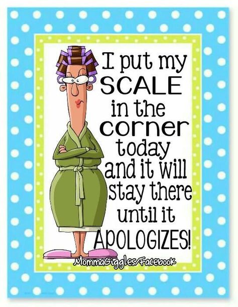 Jokes Quotes Funny, Funny Diet Jokes, Verknipte Humor, Diet Jokes, Diet Motivation Quotes Funny, Quotes Diet, Weight Quotes, Funny Diet Quotes, Funny Diet